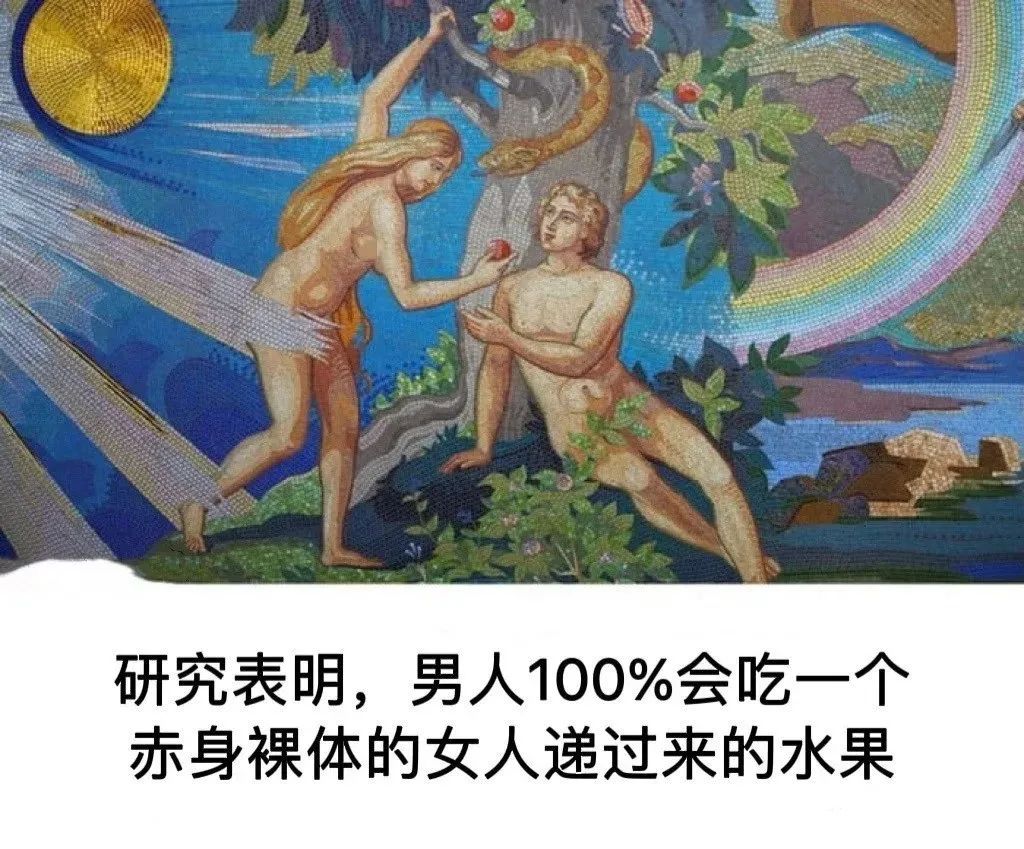 【每日十图】最火辣航班！空姐个个穿比基尼就来上班，这谁坐得住？