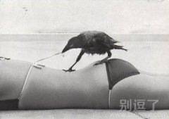 是谁让你解开的? 是谁让你解开的?