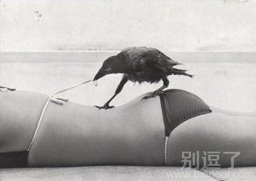是谁让你解开的? 是谁让你解开的?