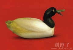 搞笑图片鸭子，蔬菜做的哦