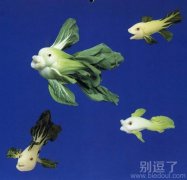 搞笑图片白菜鱼! 搞笑图片白菜鱼!