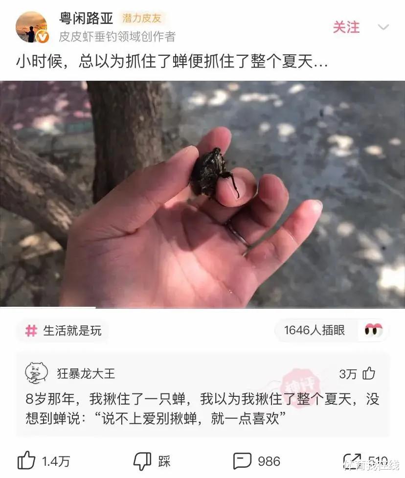 神回复：为什么开灵车的司机都会在后视镜上挂一个铃铛？