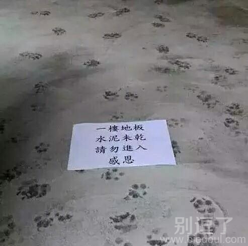 忘记了这些家伙不认识字！