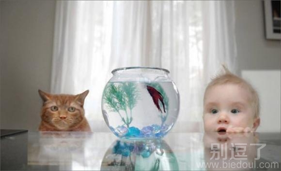 我和小猫咪在看小鱼。
