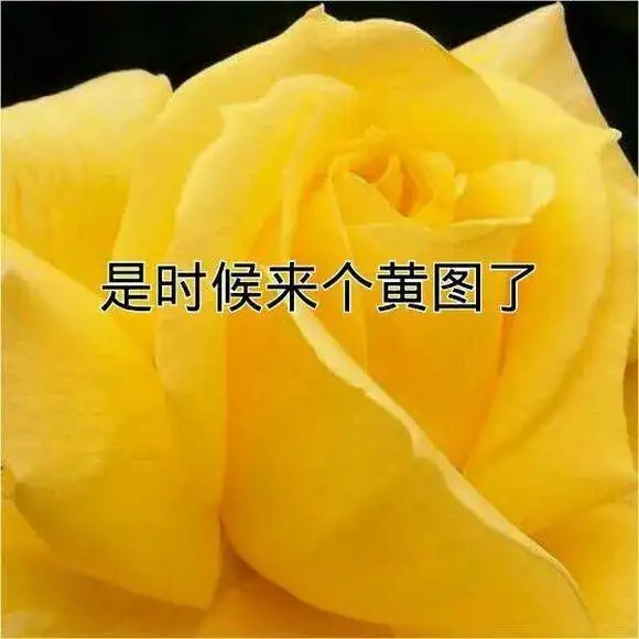 轻松一刻:想定个中午12点的闹钟,到底该选哪一个 轻松一刻:想定个中午12点的闹钟,到底该选哪一个