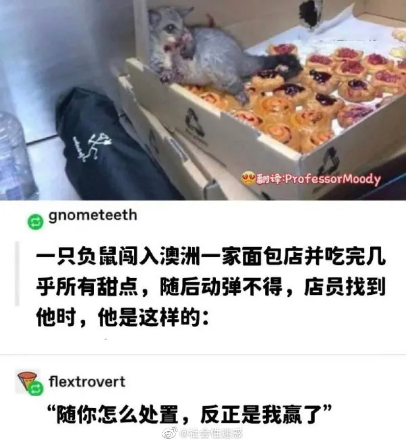 轻松一刻：想定个中午12点的闹钟，到底该选哪一个