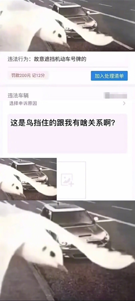 轻松一刻:想定个中午12点的闹钟,到底该选哪一个 轻松一刻:想定个中午12点的闹钟,到底该选哪一个