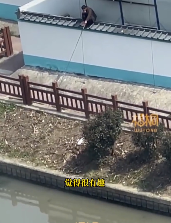 轻松一刻:想定个中午12点的闹钟,到底该选哪一个 轻松一刻:想定个中午12点的闹钟,到底该选哪一个
