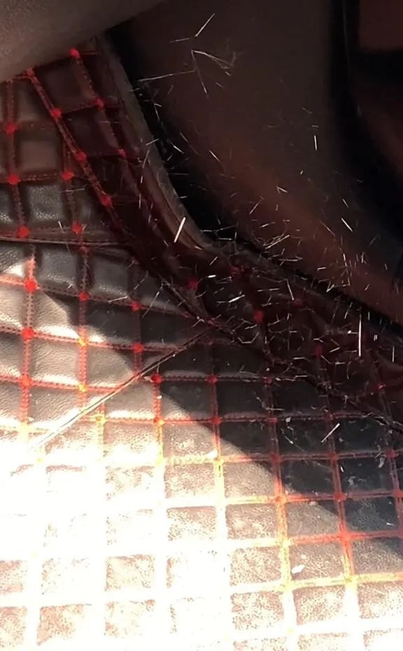 轻松一刻:想定个中午12点的闹钟,到底该选哪一个 轻松一刻:想定个中午12点的闹钟,到底该选哪一个