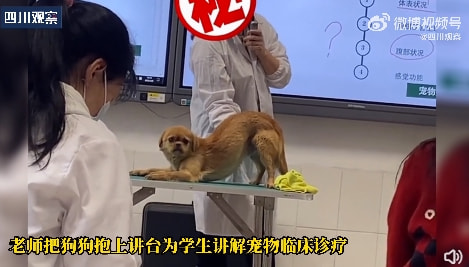 轻松一刻:想定个中午12点的闹钟,到底该选哪一个 轻松一刻:想定个中午12点的闹钟,到底该选哪一个