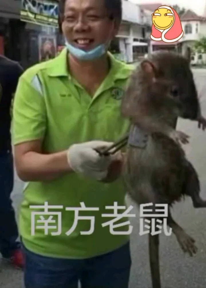 轻松一刻:想定个中午12点的闹钟,到底该选哪一个 轻松一刻:想定个中午12点的闹钟,到底该选哪一个