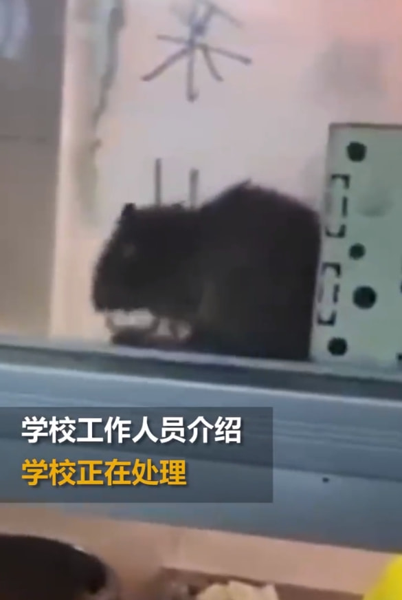 轻松一刻:想定个中午12点的闹钟,到底该选哪一个 轻松一刻:想定个中午12点的闹钟,到底该选哪一个