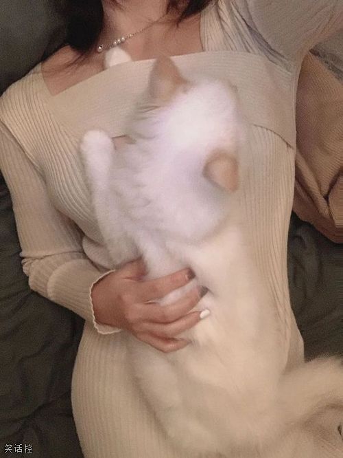 该羡慕哪个