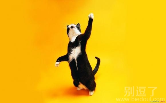 你为什么不让我送便当! 你为什么不让我送便当!