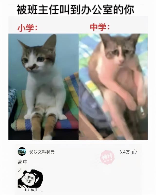 神回复:上班摸鱼被老板抓到是一种怎样的体验? 神回复:上班摸鱼被老板抓到是一种怎样的体验?