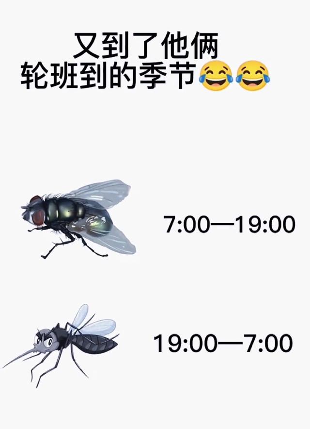 公司洁厕灵老丢,我偷偷换成了膨胀剂,第二天,哈哈哈 公司洁厕灵老丢,我偷偷换成了膨胀剂,第二天,哈哈哈