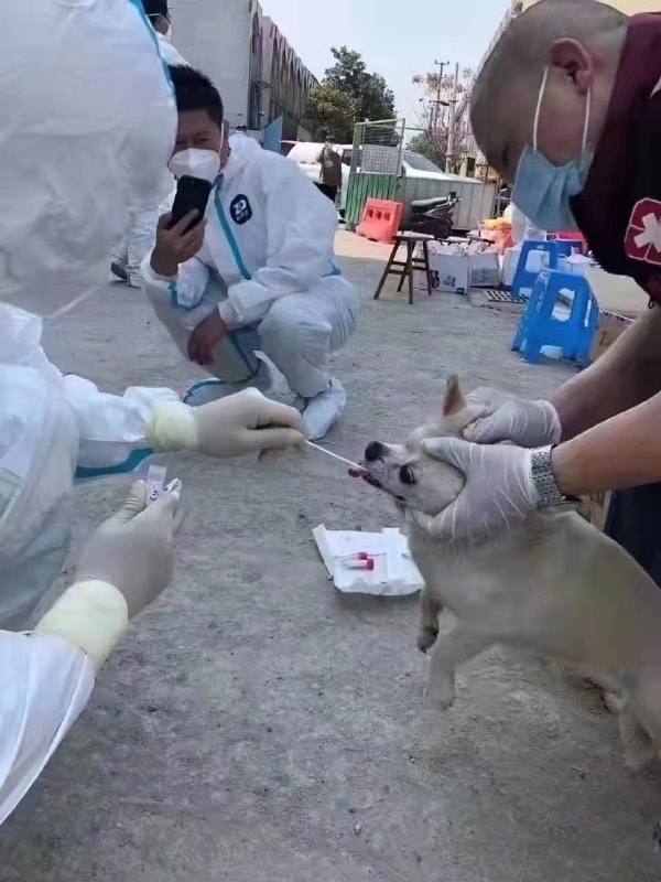轻松一刻:给女主播花了十几万,是想办啥事啊! 轻松一刻:给女主播花了十几万,是想办啥事啊!