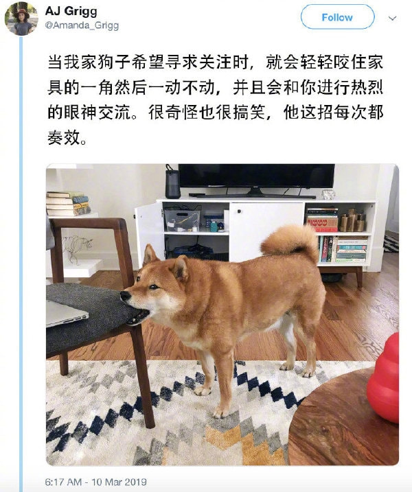 轻松一刻:给女主播花了十几万,是想办啥事啊! 轻松一刻:给女主播花了十几万,是想办啥事啊!