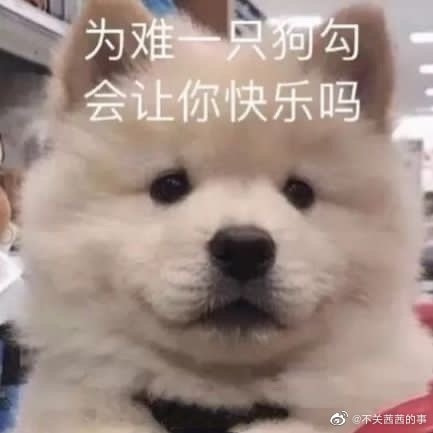 轻松一刻:给女主播花了十几万,是想办啥事啊! 轻松一刻:给女主播花了十几万,是想办啥事啊!