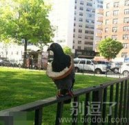 妈妈再也不用担心我饿着了
