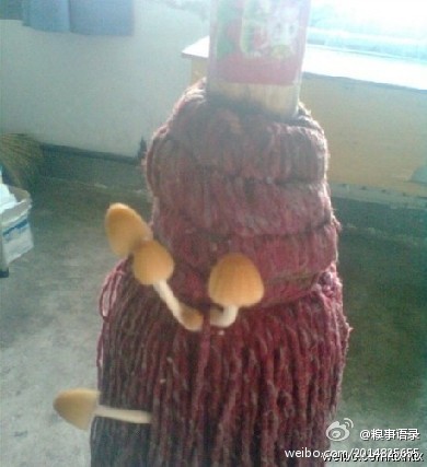 来一组恶搞图片系列
