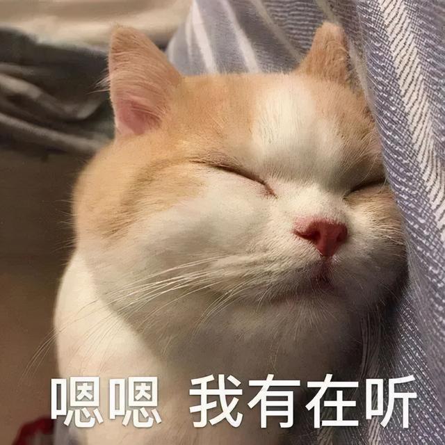 表情包，所有原则遇上心动都会破防