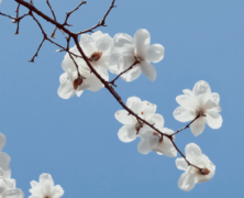 男朋友对自己忽冷忽热的心情说说 感觉男朋友对我冷淡了的说说