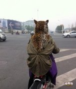 上班路上看到一妖孽