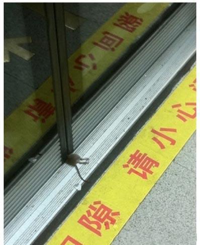 都提示你小心缝隙了