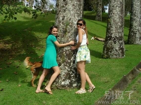 两个抱大树的人。 两个抱大树的人。