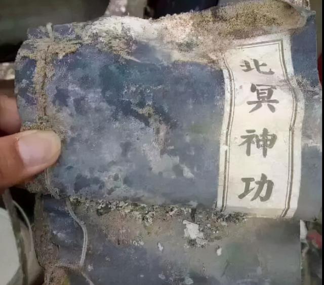 搞笑时刻:你的美无惧风浪 搞笑时刻:你的美无惧风浪