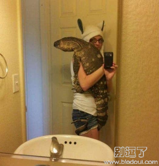 别人家的宠物。。。