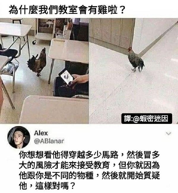 轻松一刻:妙龄少女上头喝醉,老艺术家公关落泪 轻松一刻:妙龄少女上头喝醉,老艺术家公关落泪