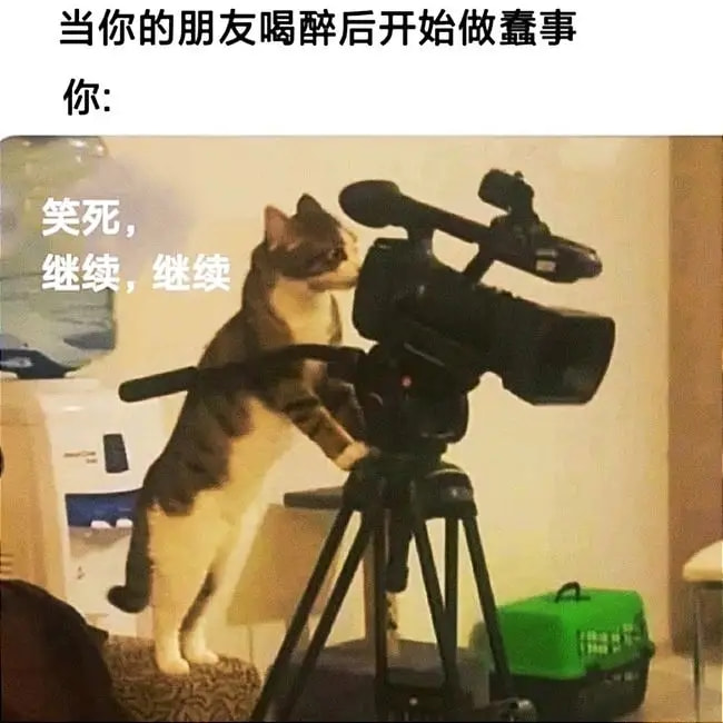 轻松一刻:妙龄少女上头喝醉,老艺术家公关落泪 轻松一刻:妙龄少女上头喝醉,老艺术家公关落泪