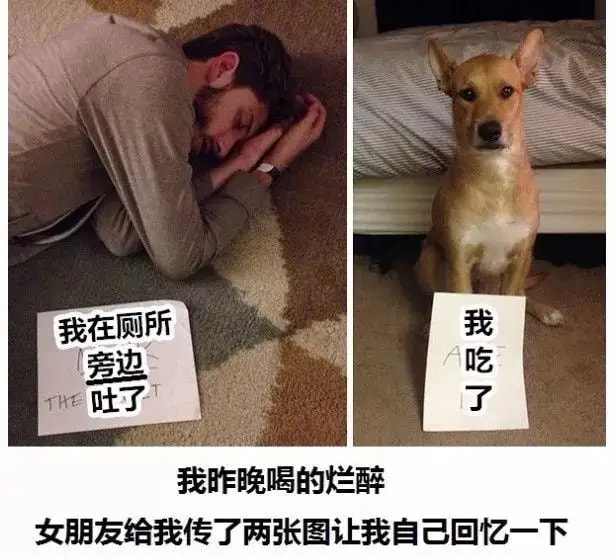 轻松一刻:妙龄少女上头喝醉,老艺术家公关落泪 轻松一刻:妙龄少女上头喝醉,老艺术家公关落泪