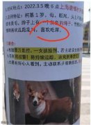 狗不要面子的吗