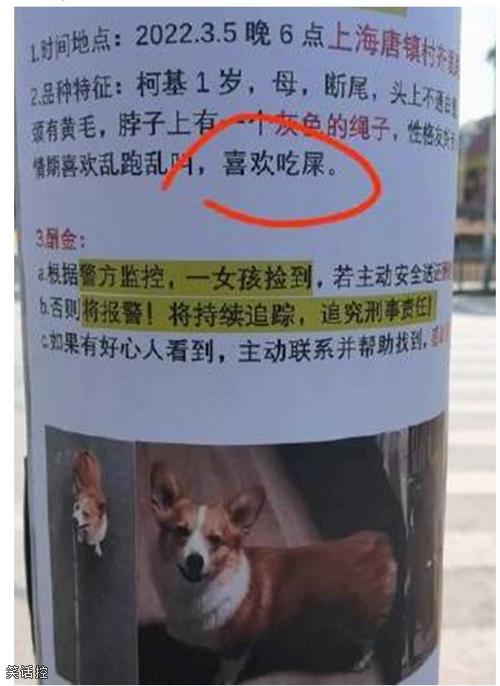 狗不要面子的吗 狗不要面子的吗