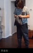 猫也怕傻子 猫也怕傻子