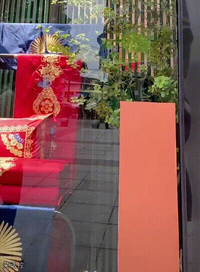 一看就是个有才的少女