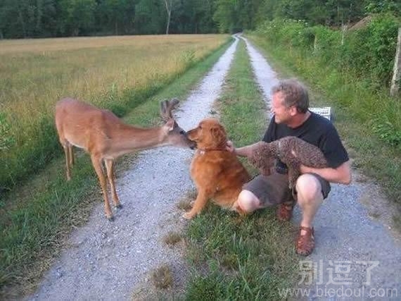 相互照顾,简称3P 相互照顾,简称3P
