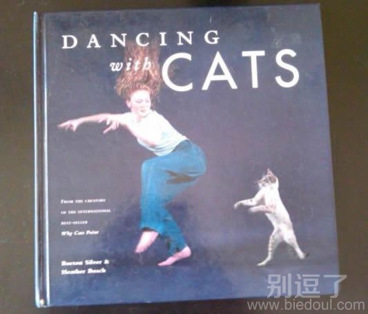 猫学跳舞,都出版书了 猫学跳舞,都出版书了