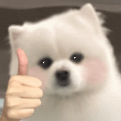 轻松一刻:今晚,给你们来点足控福利! 轻松一刻:今晚,给你们来点足控福利!