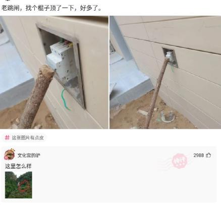 神回复:姐弟恋的各位,都是如何遇到自家姐姐的? 神回复:姐弟恋的各位,都是如何遇到自家姐姐的?