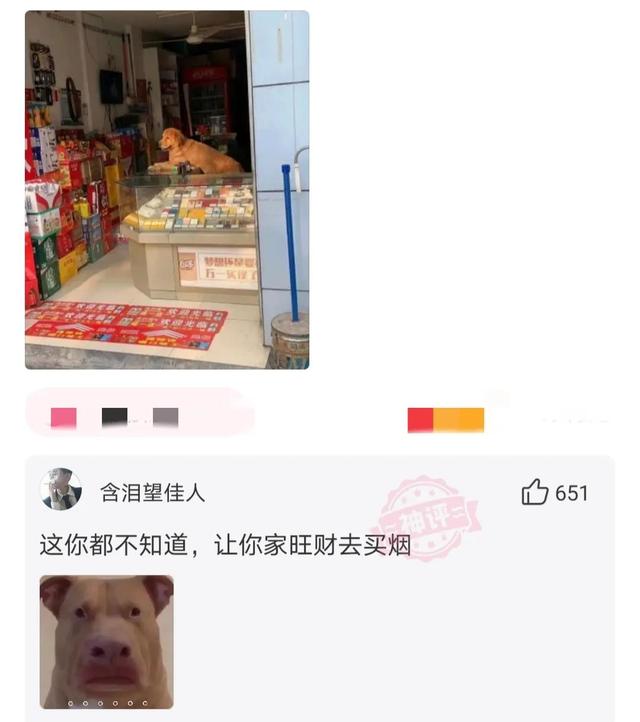 给妻子发信息,手一滑发给了老板娘,她回道:改日吧 给妻子发信息,手一滑发给了老板娘,她回道:改日吧