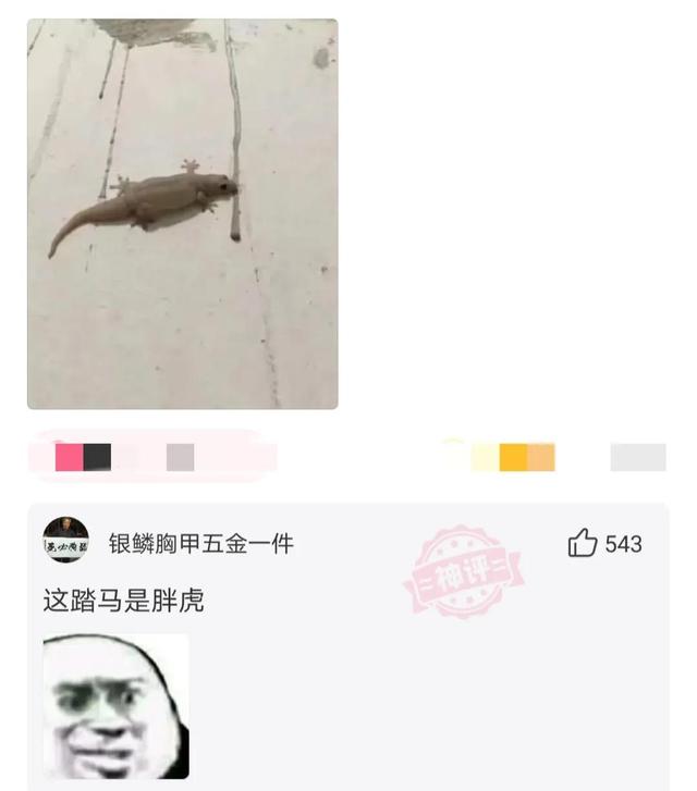 给妻子发信息,手一滑发给了老板娘,她回道:改日吧 给妻子发信息,手一滑发给了老板娘,她回道:改日吧