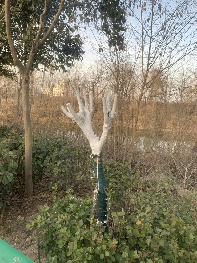 给妻子发信息,手一滑发给了老板娘,她回道:改日吧 给妻子发信息,手一滑发给了老板娘,她回道:改日吧