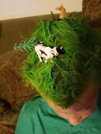 你小时候的梦想一定是开个农场 你小时候的梦想一定是开个农场