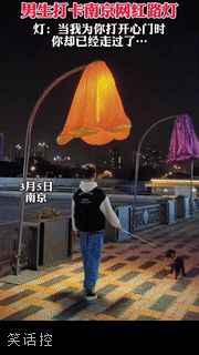 途经了它的盛放 途经了它的盛放