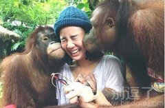 一个被围攻的妹子。