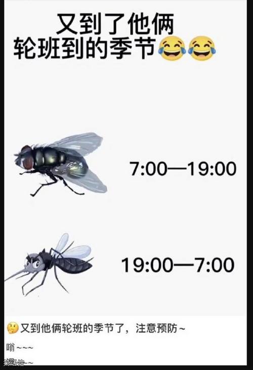 最烦人的季节
